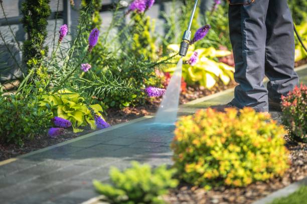 Best Parking Lot and Garage Cleaning  in Bridgewater Center, NJ